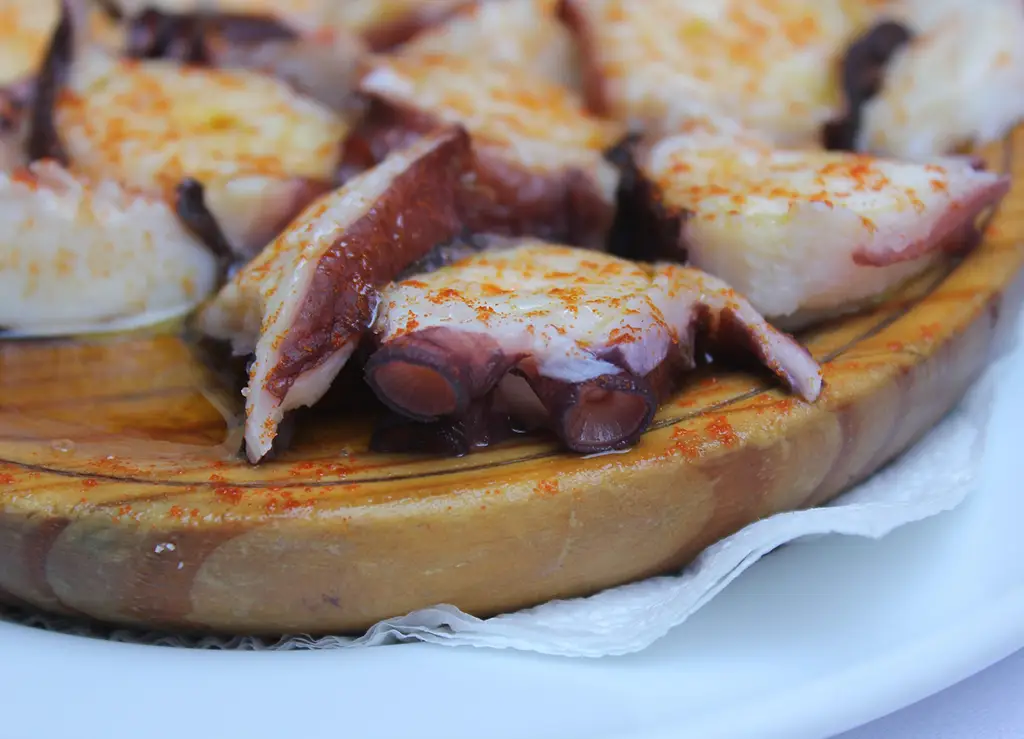 Pulpo